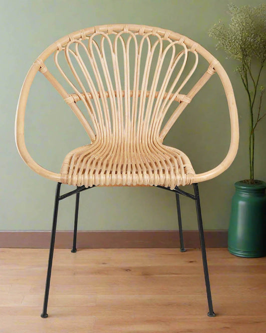 France Bamboo Chair | Rattan Chair | Cane Furniture