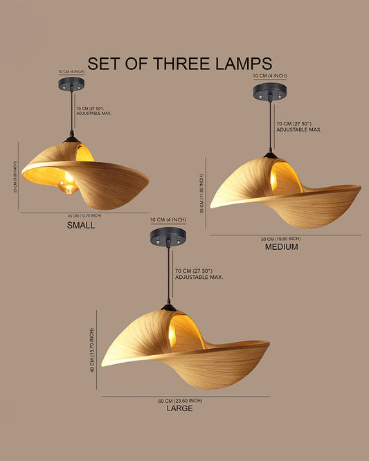 Ceiling Lamps For Living Room | Ceiling Hanging Lights | Hanging Lights For Balcony | Lamps For Living Room