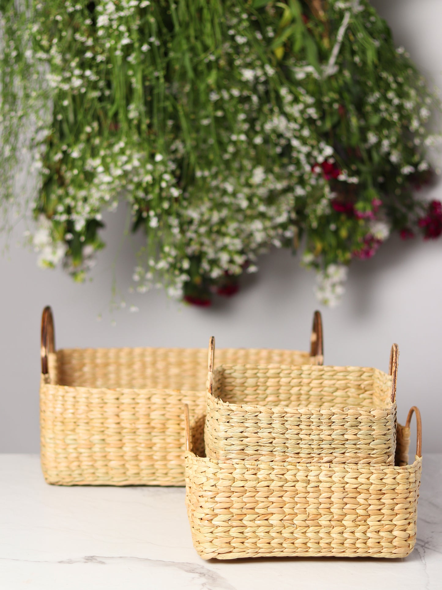 Cane Handle Fruit Hamper Basket