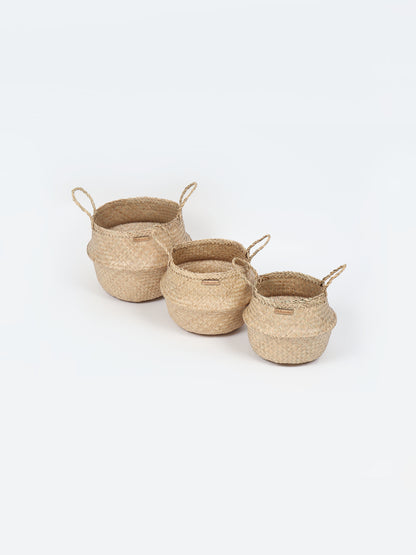 Seagrass Plant & Storage Baskets