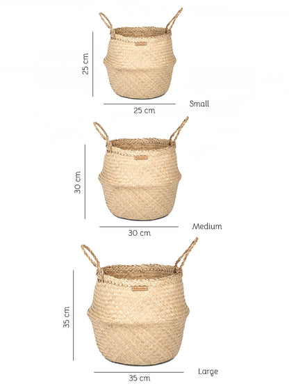 Seagrass Plant & Storage Baskets