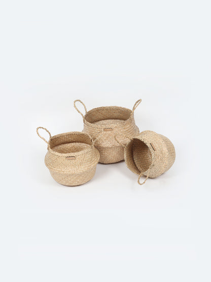 Seagrass Plant & Storage Baskets