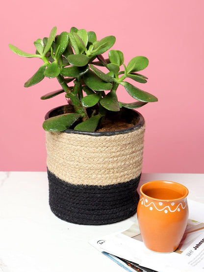 Black Jute Storage Basket