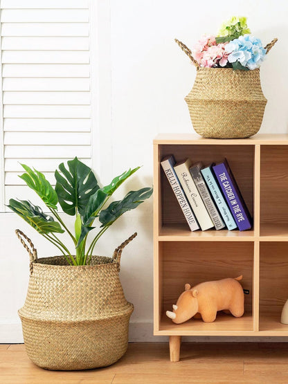 Seagrass Plant & Storage Baskets