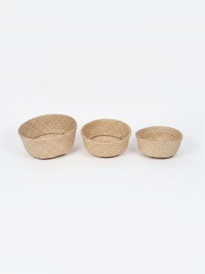 Seagrass Plant & Storage Baskets